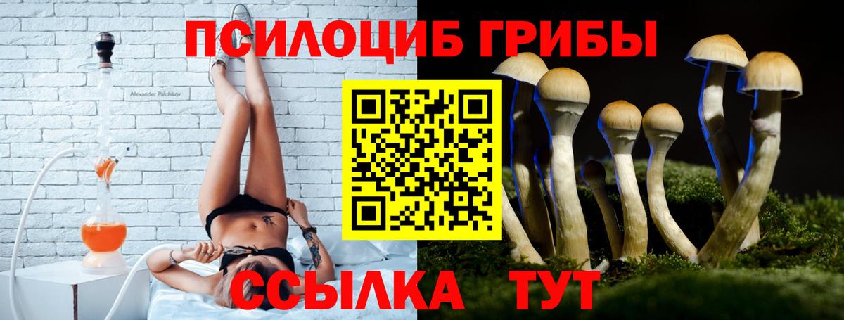 Нижневартовск  Псилоцибиновые грибы GOLDEN TEACHER  Вход с VPN 